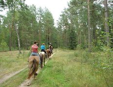 Центр верховой езды Двор Старинки, Прокат - фото 17