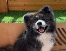 Ветеринарная клиника АйбиВЕТ, Галерея - фото 14