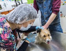 Ветеринарный центр КакадуВет, Галерея - фото 18