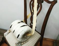 Галерея Художественная галерея Михаила Савицкого, Галерея Михаила Савицкого - фото 4