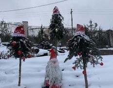 Агроусадьба У Истока, Зима У Истока  - фото 4