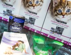 Ветклиника МогВетЛига, Галерея - фото 3