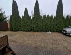 Банька У Ёлочек, Баня у Ёлочек - фото 11