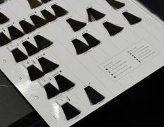 Студия красоты Body Dream (Боди Дрим), Галерея - фото 4