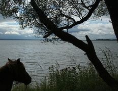 Центр верховой езды Двор Старинки, Походы - фото 13