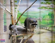 Торгово-развлекательный центр Титан, Всемирный день фотографа в ZOOпарке - фото 4