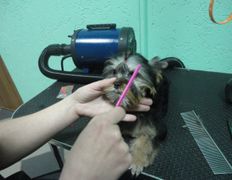 Ветеринарный центр Семь жизней, Галерея - фото 5