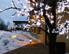 Вилла Vice house (Вайс хаус), Новый год 2026 - фото 12