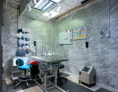 Ветеринарная клиника Белая медведица, Галерея - фото 4