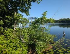 null Коттедж на озере Должа, Пейзажи - фото 3