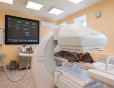 null Могилевский областной онкологический диспансер, Галерея - фото 19