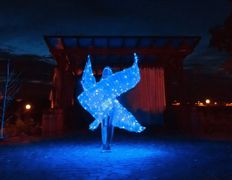 Ведущая  Элли, Неоновое шоу Элли - фото 15