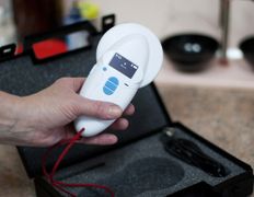 Ветклиника МогВетЛига, МогВетЛига - фото 11