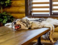 Агроусадьба Добры густ, 1-й дом - фото 9