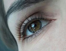 Салон красоты NAOMI beauty & SPA (НАОМИ), Брови и ресницы - фото 20