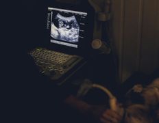 Ветклиника Эвия Верум, Галерея - фото 7