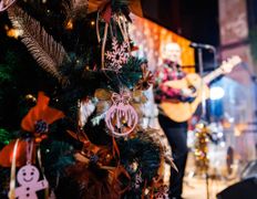 Гастропаб-караоке ОСОБНЯК, Новый год 2025 - фото 12