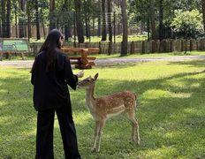 Парк семейного отдыха/зоопарк Парк животных, Галерея - фото 20