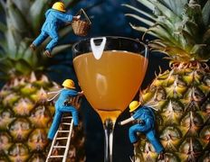 Гастропаб | Караоке ZAVOD (Завод), Напитки - фото 7