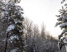 База отдыха Дружба, База отдыха зимой - фото 2