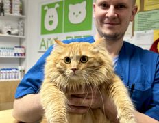 Ветеринарная клиника АйбиВЕТ, Галерея - фото 7