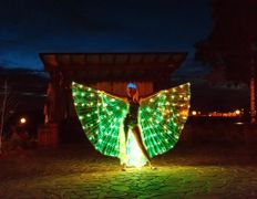 Ведущая  Элли, Неоновое шоу Элли - фото 14