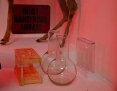 Магазин-клуб настольных игр Место путешествия, Фронтир - фото 7