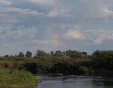 Река Птичь, Птичь - фото 4