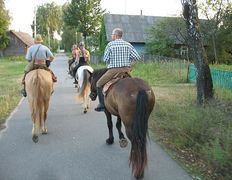 Центр верховой езды Двор Старинки, Походы - фото 11