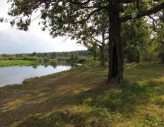 Река Птичь, Птичь - фото 1