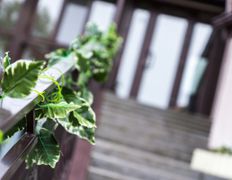 Агроусадьба У Истока, Территория - фото 13