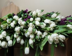 Spa-салон Баунти тай-спа, 8 марта в Баунти тай-спа - фото 14