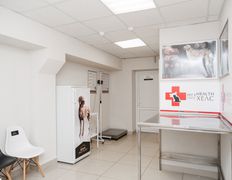 Ветклиника PET’S HEALTH (ПЕТС ХЕЛС), Интерьер - фото 3