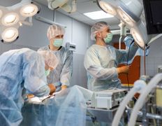 Ветеринарная клиника Сас Энимал Сервис, Галерея - фото 4