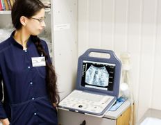 Ветклиника Эвия Верум, Галерея - фото 5