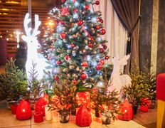 Ресторан Wood & Fire, Новый год - фото 16