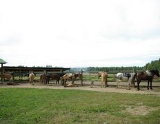 Центр верховой езды Двор Старинки, Прокат - фото 15