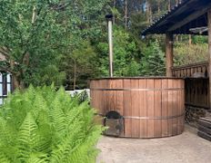 Агроусадьба  Поддубная, Банный домик с русской баней и купелью - фото 15