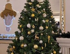 Банкетный комплекс Троицкий Холл, Новый год 2026 - фото 4