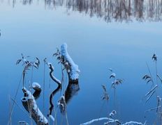 null Коттедж на озере Должа, Зима - фото 19