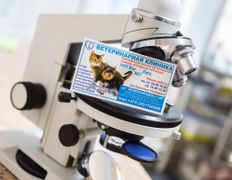 Ветклиника МогВетЛига, Галерея - фото 15