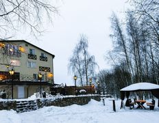Вилла Vice house (Вайс хаус), Новый год 2026 - фото 20