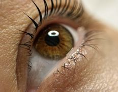 Салон красоты Шевелюра, Ламинирование ресниц - фото 1