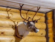 Агроусадьба Добры густ, 1-й дом - фото 10