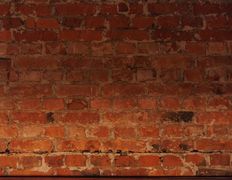 Бар Friends&dogs (Френдс&догс), Интерьер - фото 8