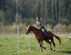 Центр верховой езды Двор Старинки, Соревнования - фото 16