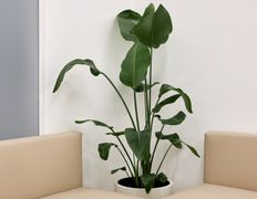 Медицинский центр Майвамед, Галерея - фото 5