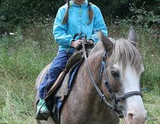 Центр верховой езды Двор Старинки, Прокат - фото 11