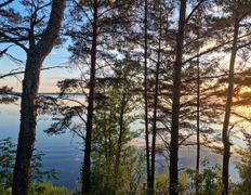 Оздоровительный комплекс Чайка, Территория - фото 16