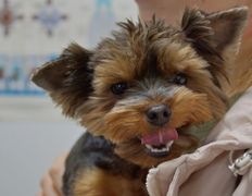 Ветклиника Эвия Верум, Галерея - фото 11